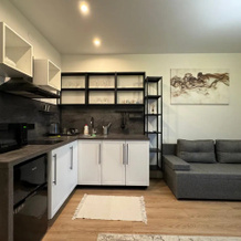 Stilnaya Studiya S Kharakterom Flat, Vidnoye — photo 2