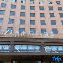 Liaoning Province,Anshan City,Taian County,Prosperity North Street 70th Tax Bureau Northwest side, 台东 — 照片 2