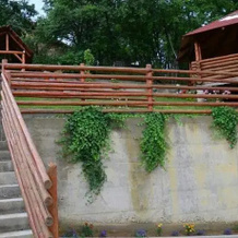 Pensiunea Valcinet, Борса — фото 2