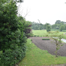 Breeveld Cottage, 武尔登 — 照片 4