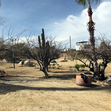 Casa Dominguez Guesthouse, 洛斯巴里亚莱斯 — 照片 5