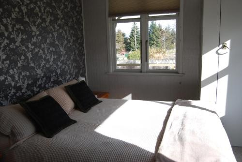 Judge Rock Exclusive Vineyard Cottage Accommodation, 亚历山德拉 — 照片 1