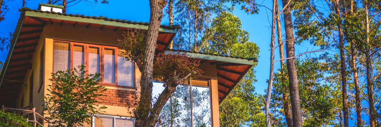 The Tea Cottage Resort & Spa, 博加万塔拉瓦 — 照片 1