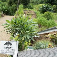 Villa Guanacaste Luxury Resort, 圣特雷莎 — 照片 4