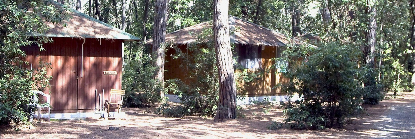 Villaggio Club Cecina, Чечина — фото 1