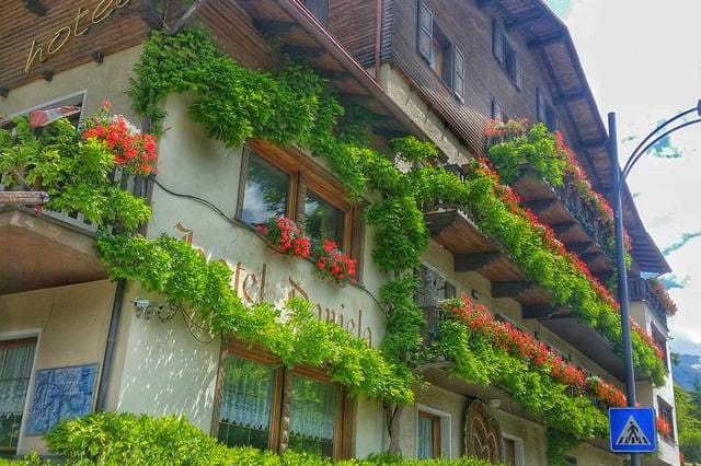 Daniela (Bormio), Verona — photo 1