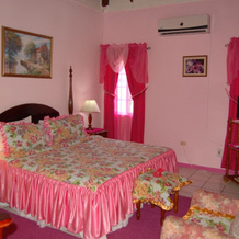 Pink Hibiscus Villa, Монтего-Бей — фото 2