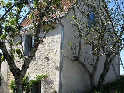 La Batelière Sur Loire, Ла Шапель-Окс-Но — фото 1