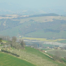 Il Borgo Vecchio, Monte Rinaldo — photo 3