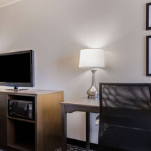 La Quinta Inn & Suites by Wyndham Mission at West McAllen, 米申 — 照片 5