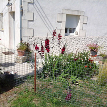 Apartment Route du Petit Village, Mortagne-sur-Gironde — photo 5