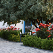 Santorini Hotel, 费奥多西亚 — 照片 4