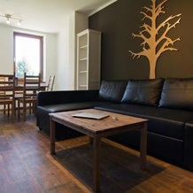 Apartmány Chata Švadlenka, Rokytnice nad Jizerou — photo 3