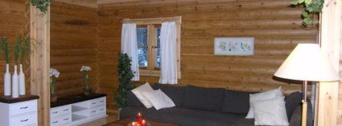 Holiday Home Hartolan ilo, 哈尔托拉 — 照片 1