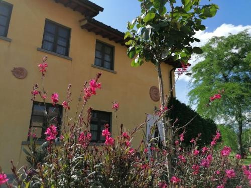 Podere Piandarca, 泰拉诺瓦布拉乔利尼 — 照片 1