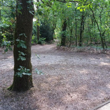 Witte Wieven Bungalow 17, 南斯皮特 — 照片 5