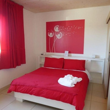 Agriturismo Bio Relais Terra del Vento, 真扎诺-迪罗马 — 照片 3