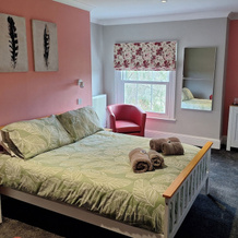 Room-Comfortable Double Room With Bath, Cranleigh — фото 5