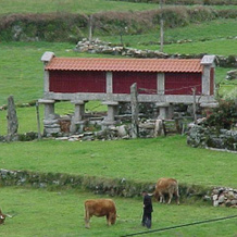 Casa de Campo Monte Abades, 肖伦塞和蒙特 — 照片 2
