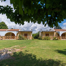 Trikalioti's Estate, Palouki — photo 5