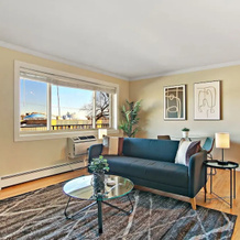 Charming 1BR Apt in Arlington Heights, 阿灵顿海茨 — 照片 3