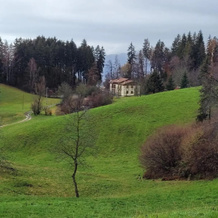 Green House nel bosco, 洛韦雷 — 照片 5