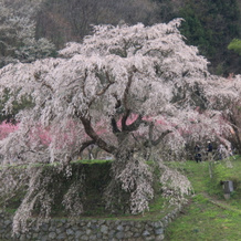 Chinjyusou, 宇田 — 照片 4