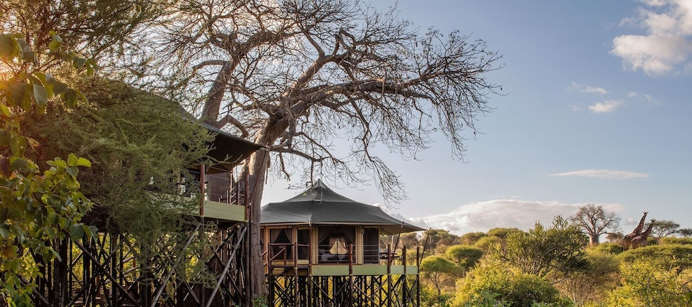 Tarangire Kuro Treetop Lodge, Tarangire National Park — photo 1