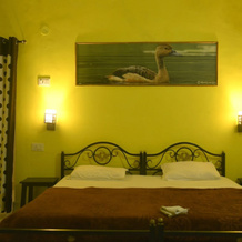 Taal Tiger Retreat, Хатия — фото 3