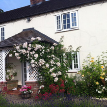 Mulsford Cottage Bed & Breakfast, Malpas — photo 3