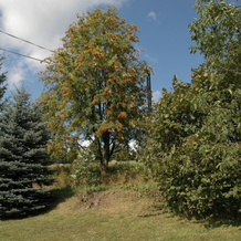 Spacious Cottage in the Giant Mountains, Near the Ski Slopes, 耶斯特沙比弗克尔科诺希赫 — 照片 5
