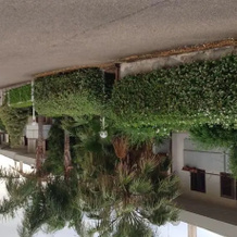 Casa Vacanza I Mandorli, Статте — фото 5