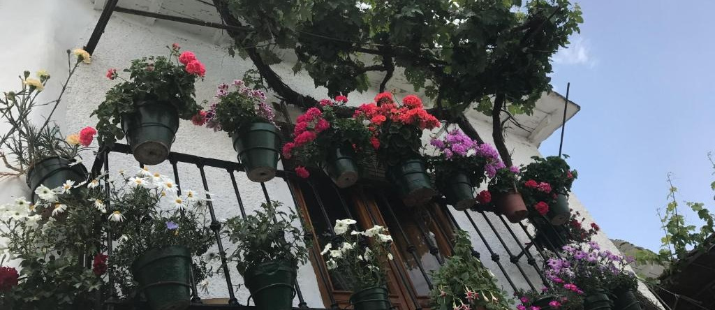 La Ermita Del Poqueira, Бубион — фото 1