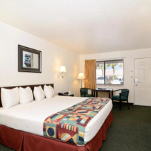 Best Western Colorado River Inn, 尼德尔斯 — 照片 3