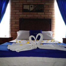 Hotel Nattivo Uraba, 阿帕尔塔多 — 照片 5