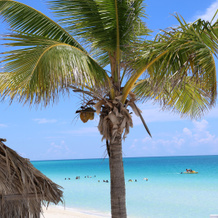 Hotel Melia Cayo Santa Maria, 圣玛丽亚岛 — 照片 5