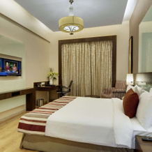 Express Inn The Business Luxury Hotel, Нашик — фото 2