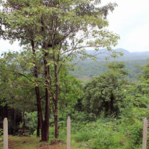 Nature Trails Kundalika, Kolad, 安贝韦恩 — 照片 3