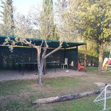 Agriturismo Fattoria Podere Peciano, 科尔托纳 — 照片 4