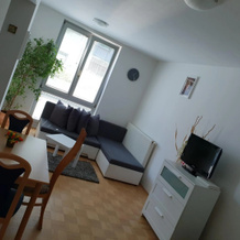 Victoria Apartment, Ljubljana — photo 4