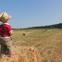 Agriturismo Podere Borgognano, 马萨马里蒂马 — 照片 4