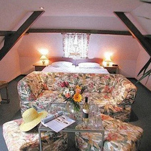 Mosel-Landhaus Hotel Oster, 埃迪格-埃勒 — 照片 3