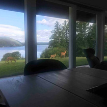 Cabin Oslofjord -sleeps14-seaview-familyfriendly, 弗罗恩 — 照片 5
