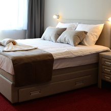Hotel Dolenjc, Ново Место — фото 4