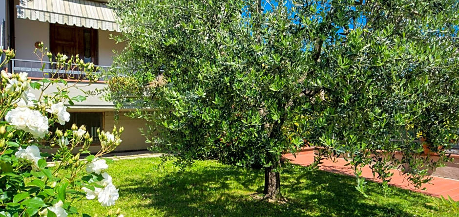 Bed & Breakfast Profumo D'estate, Аглиана — фото 1