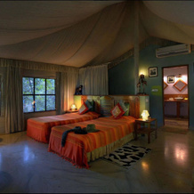 Pench Jungle Camp, Turiya — photo 5