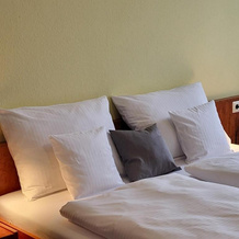 Parkhotel Am Schwanenteich, 巴特索登-阿伦多夫 — 照片 5