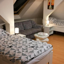 Attic Oelsnitz am Hegebach mit Netflix und Parkplatz Self Check-in, 埃尔施尼茨 — 照片 4