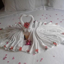 Hotel Abba Goiana, 皮廷布 — 照片 5