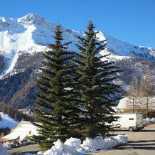 Chalet With 3 Bedrooms in Molines en Queyras, With Wonderful Mountain, 莫兰昂凯拉 — 照片 4